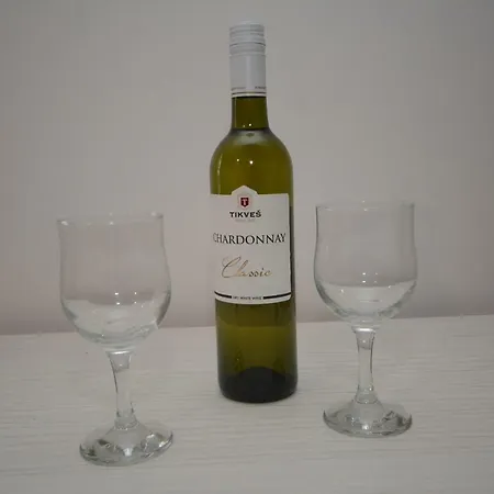 Maric In Appartement Vrnjačka Banja