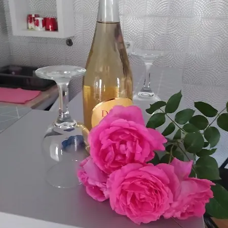 Appartement Maric In Vrnjačka Banja