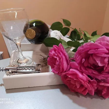 Maric In Appartement Vrnjačka Banja